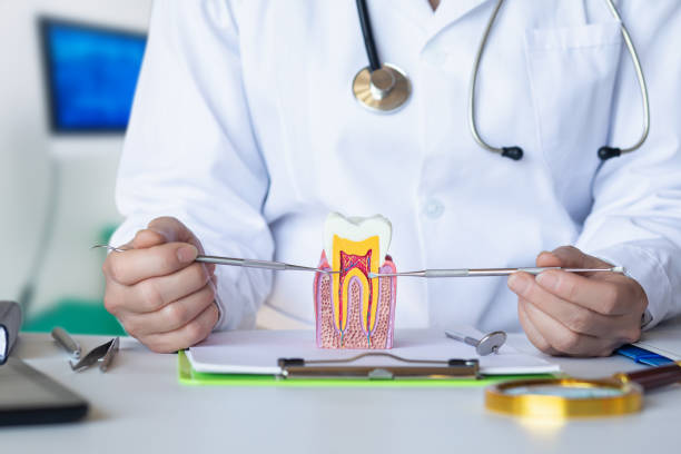 Best Emergency Treatment for Dental Infections or Abscesses in West Bishop, CA